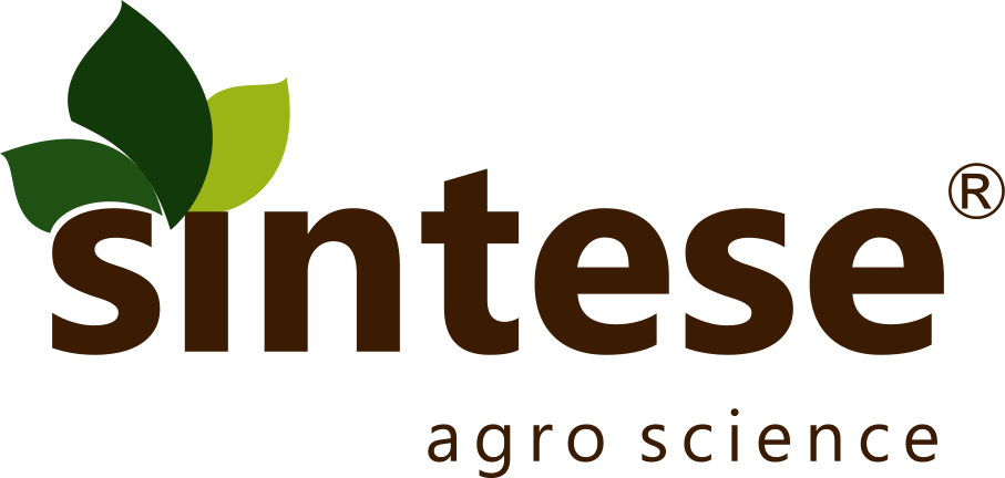 Síntese